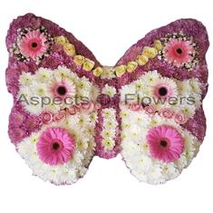 Pink Butterfly