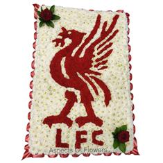 Liver Bird