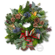 Thistle &amp; Tartan