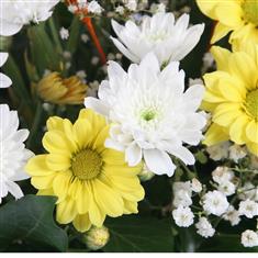 Mother's Day Yellow &amp; White Handtied